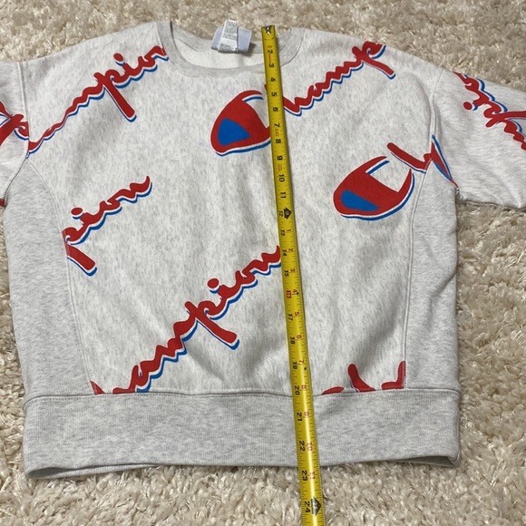 Gray Champion Logo crew neck cotton sweater, size medium - Picture 9 of 10